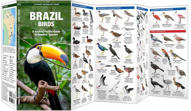 BRAZIL BIRDS. A FOLDING POCKET GUIDE TO FAMILIAR SPECIES 2